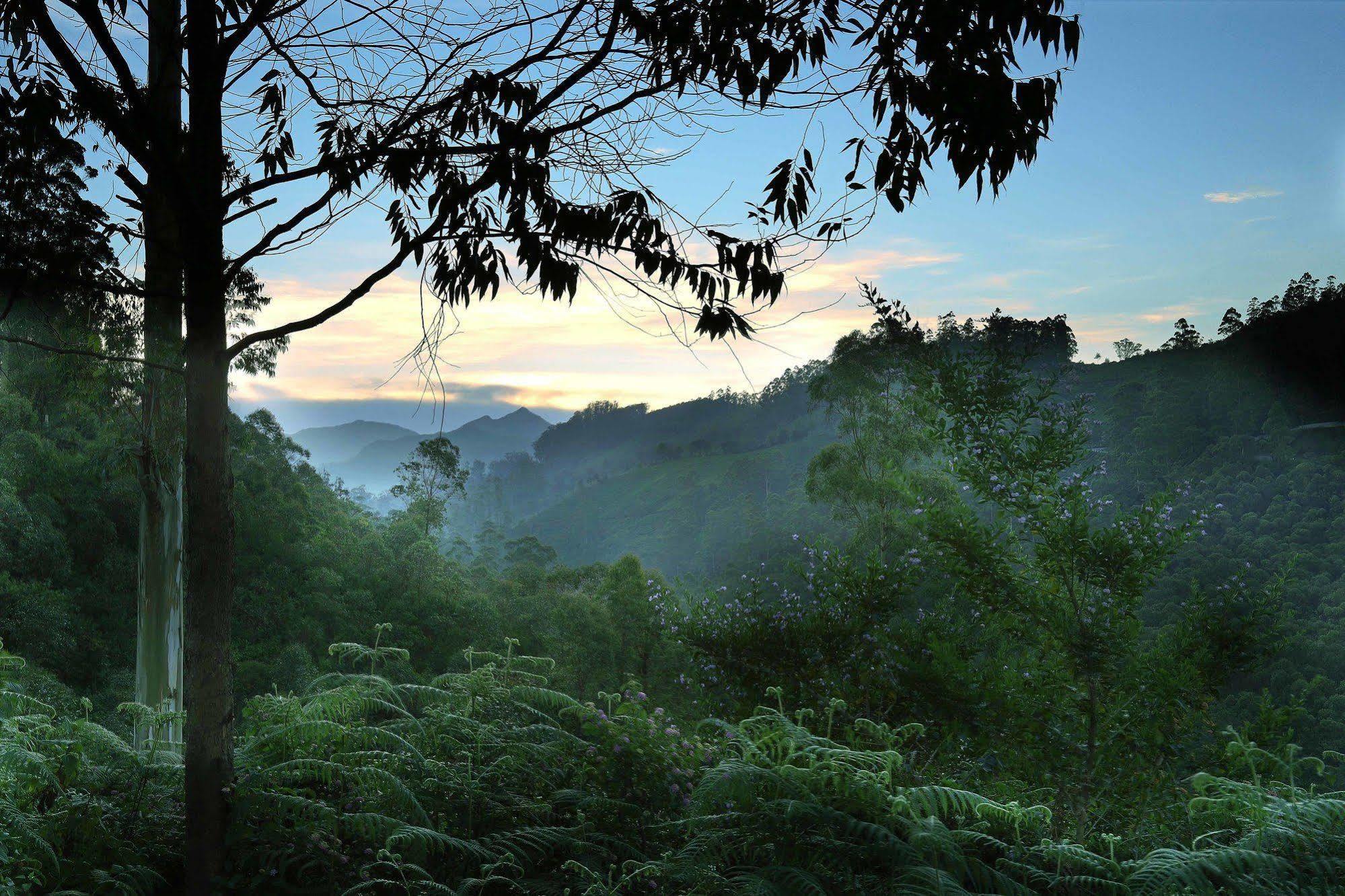 Elysium Garden Ξενοδοχείο Munnar Εξωτερικό φωτογραφία